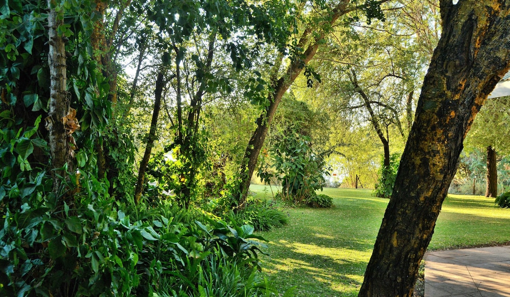 surroundings
