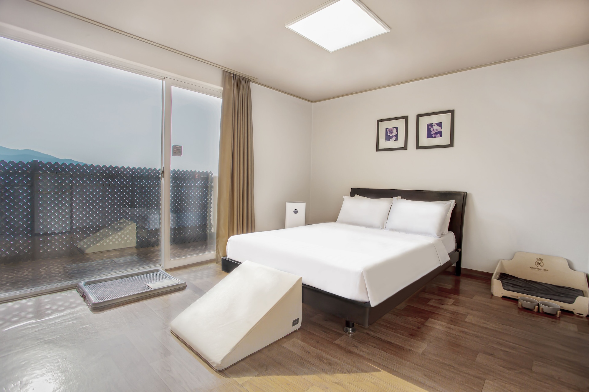 Kensington, Renovated, Studio, Double Bed, Pet Friendly