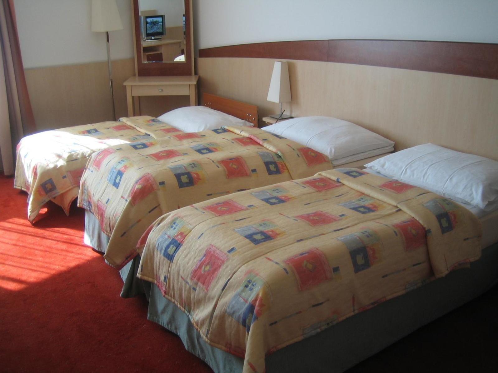 Room at Olympik Artemis Hotel, PRAGUE