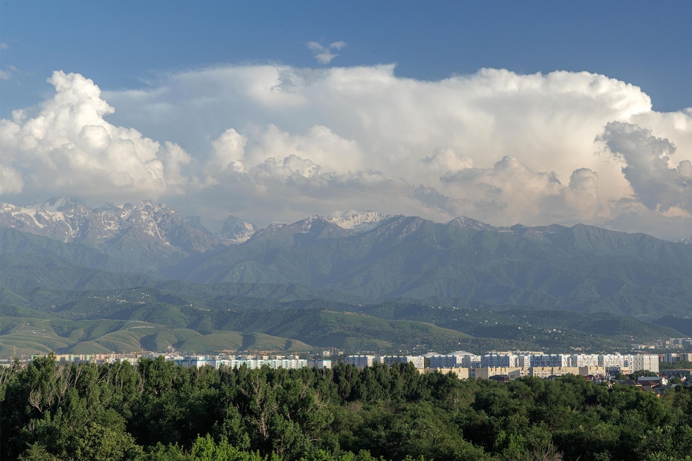Radisson Blu Hotel, Almaty Airport 115/120