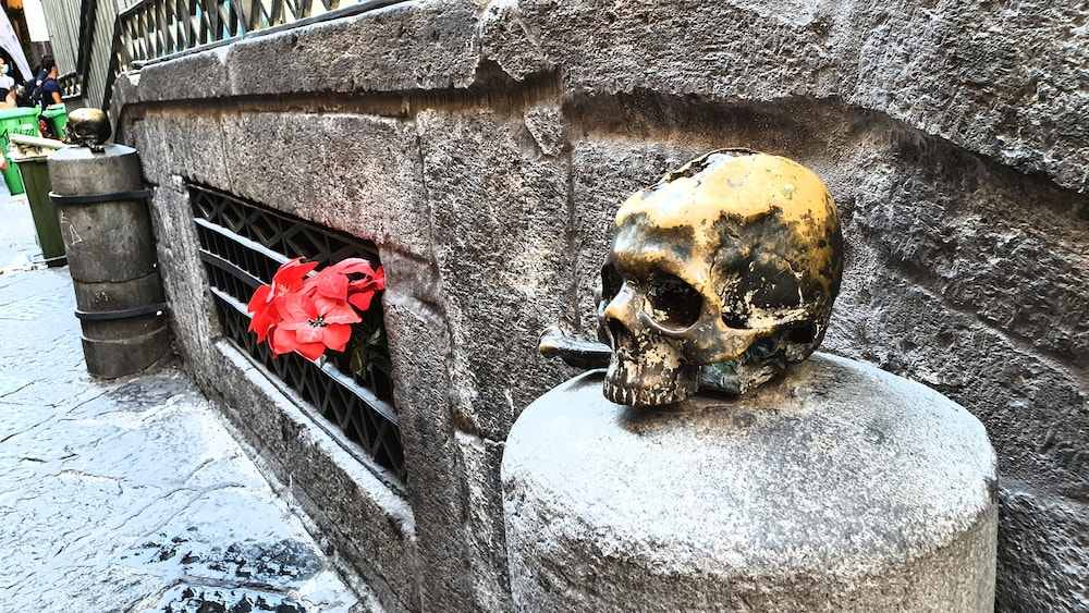Domus Armenio 24/35