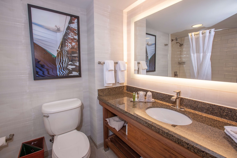 غرفة بسرير كينج بإطلالة، DoubleTree by Hilton Hotel Bay City - Riverfront 3/8