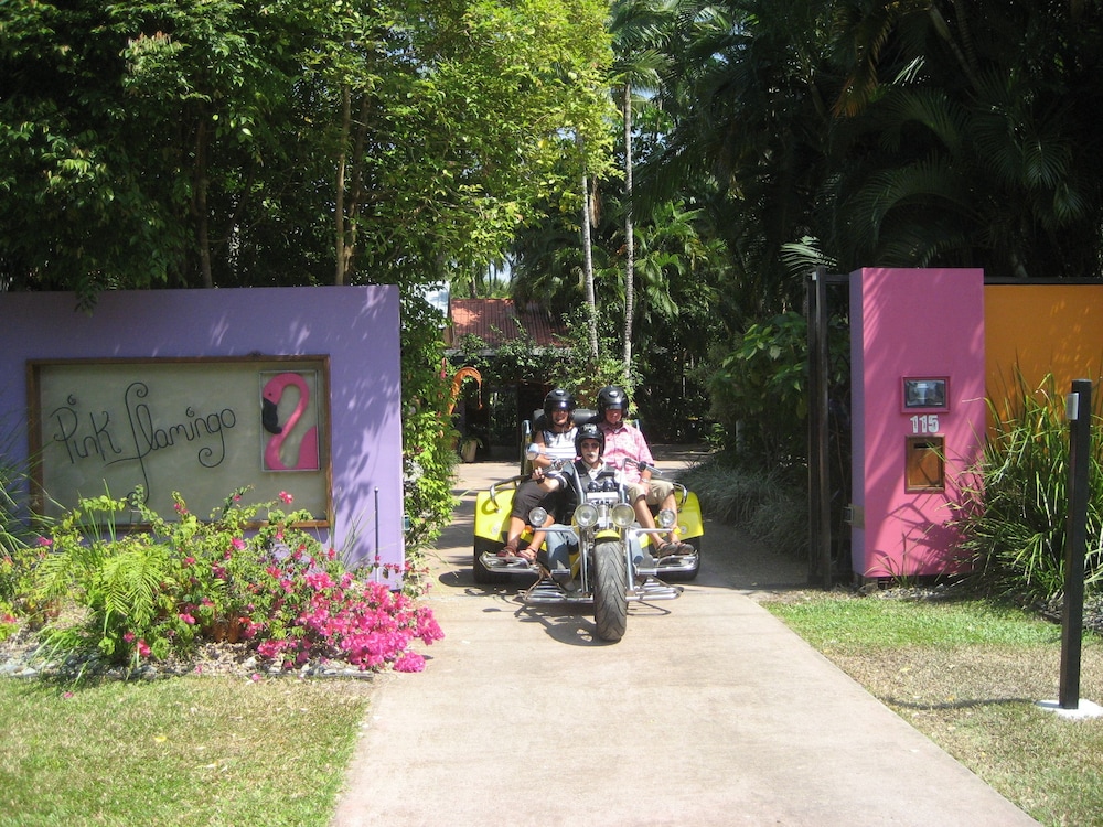 PINK FLAMINGO 18/28