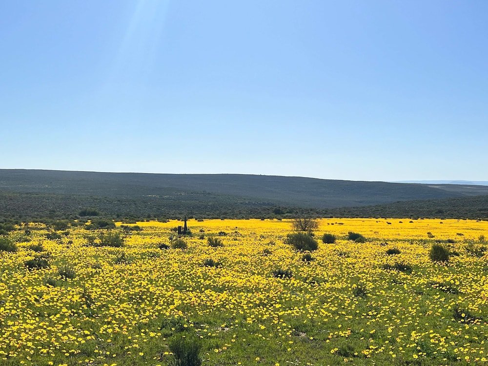 Simbavati Cederberg Ridge 47/50