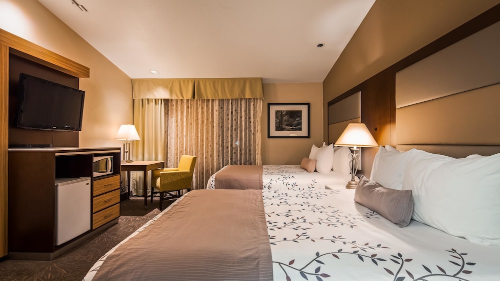 Best Western Plus Forest Park Inn 14/53