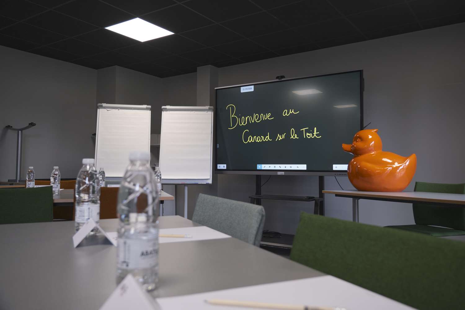 BEST WESTERN PLUS Le Canard Sur le Toit 35/47