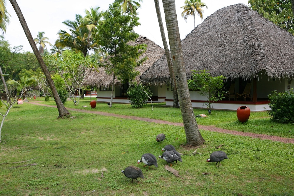 Marari Beach a CGH Earth Experience 34/50