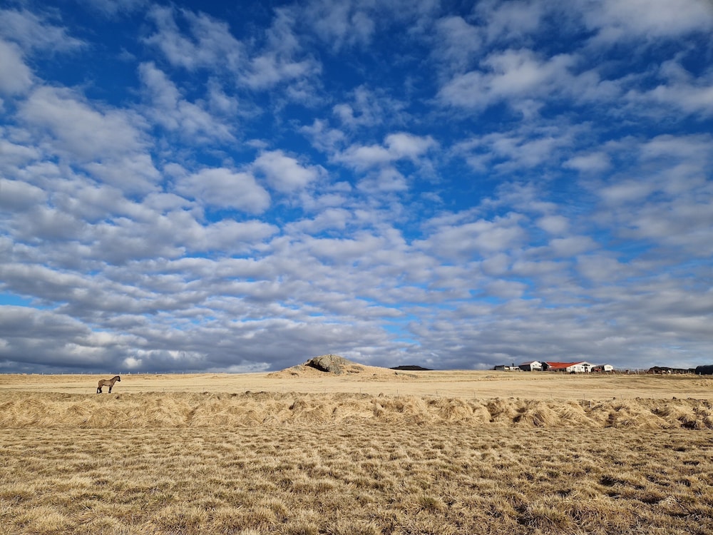 Hótel Hvítserkur 22/44