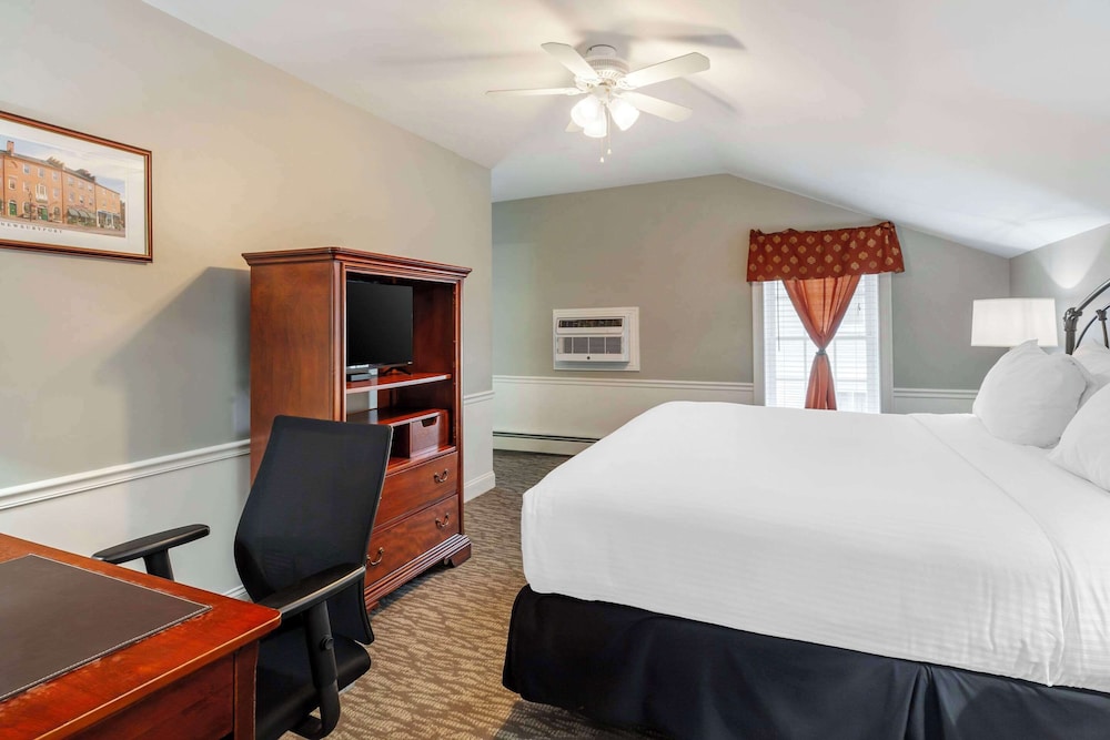 Suite, King Bed, Sofa