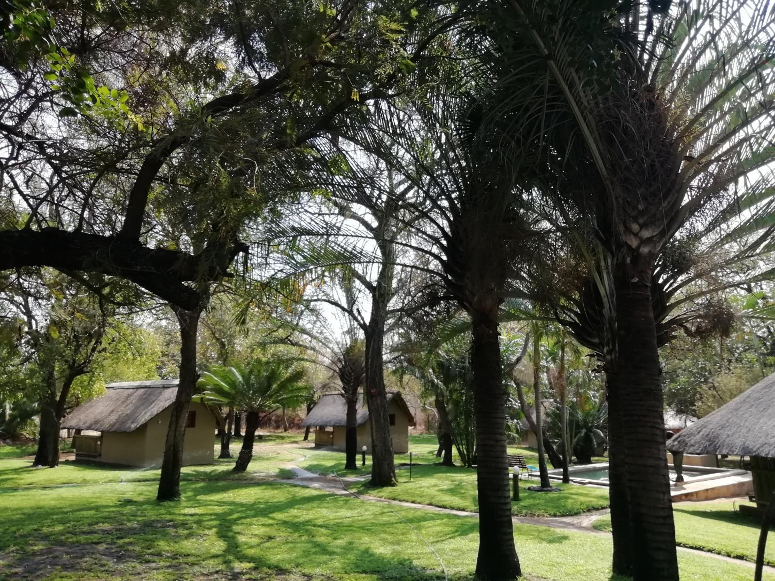 Shumba Safari Lodge 26/50