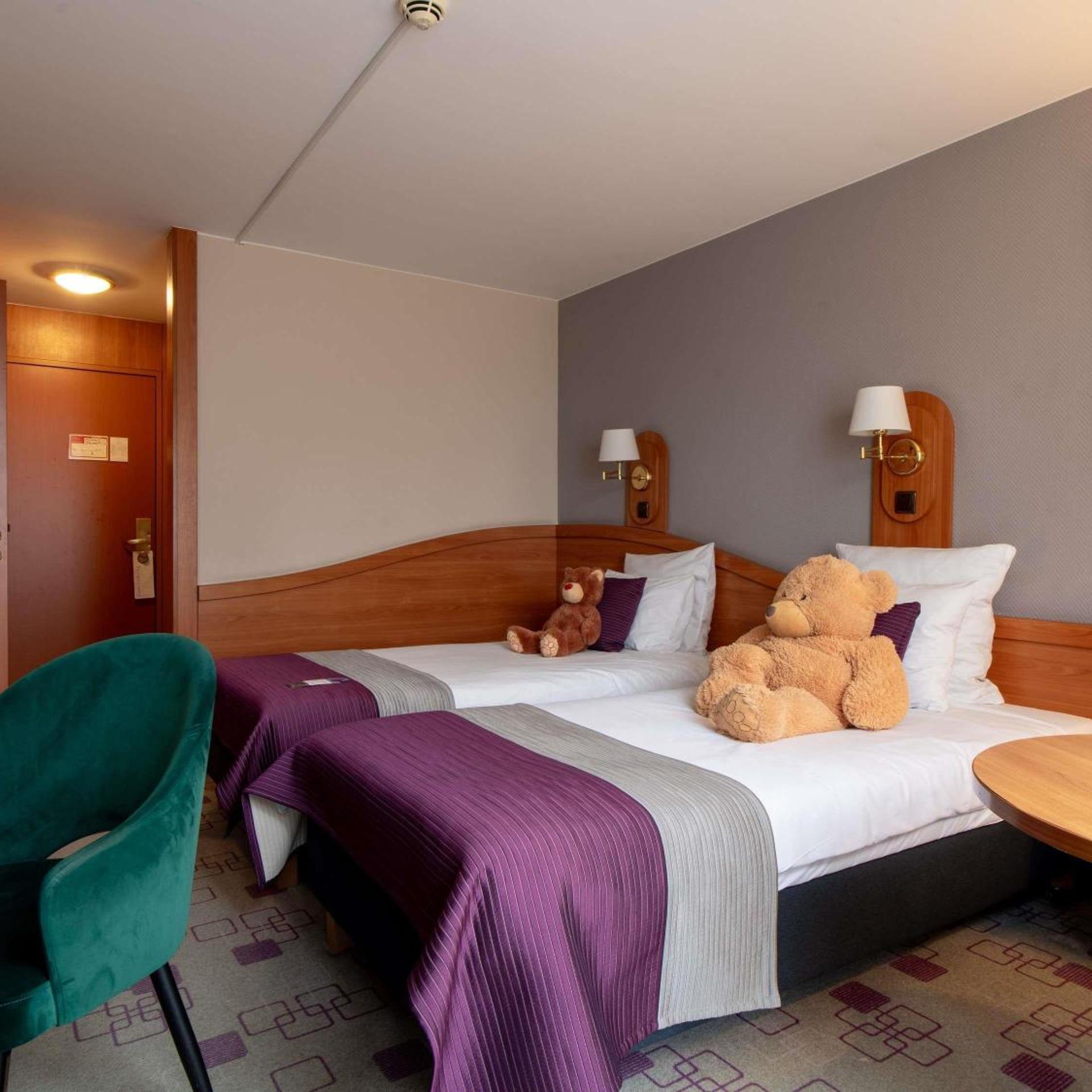 Classic, Twin Beds, Garden Side، Mercure Cieszyn 4/6