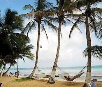 Cocoplum海滩酒店(Hotel Cocoplum Beach) 图片3
