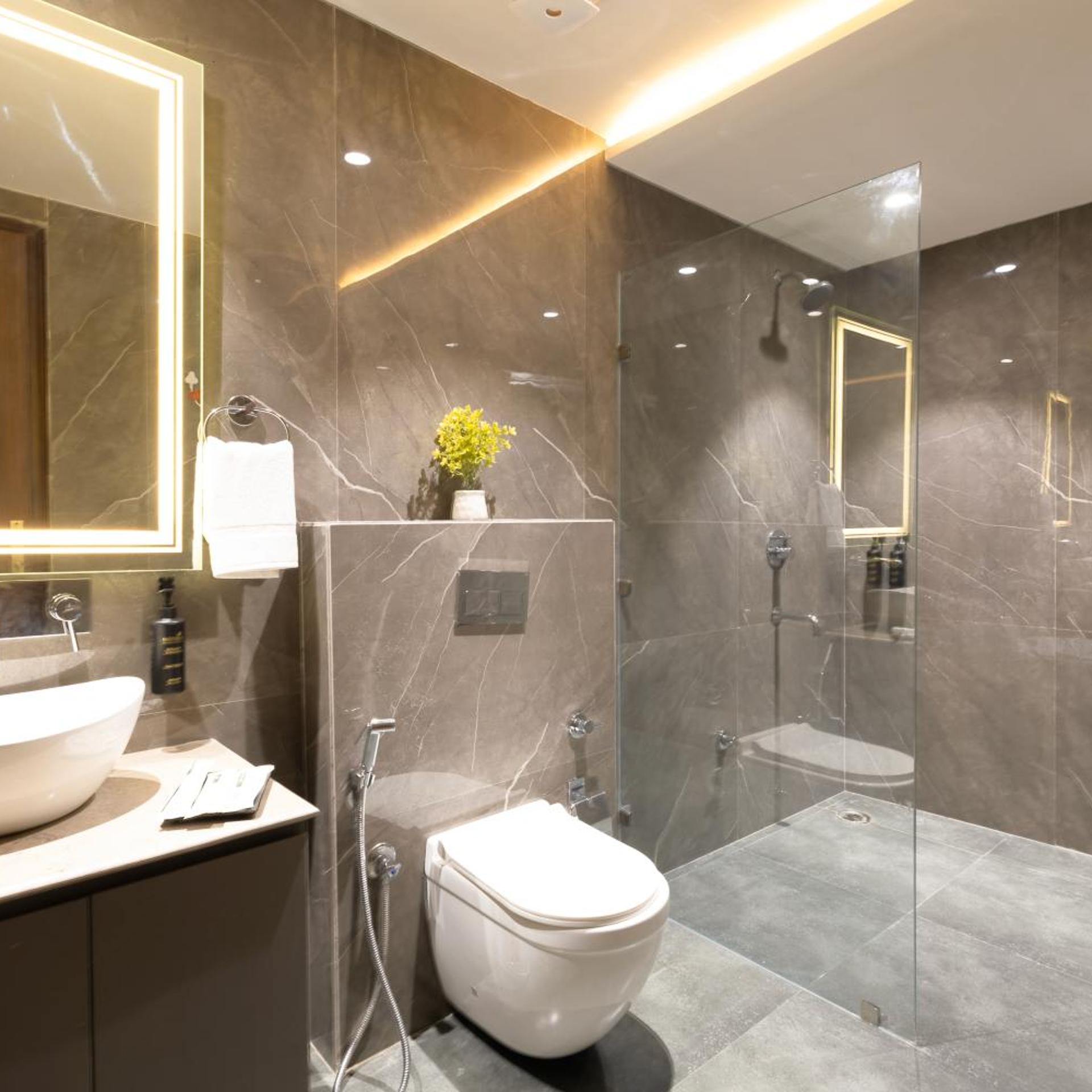 Saltstayz Premier Naraina Vihar 60/60