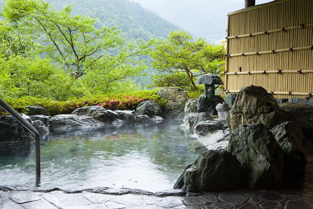 Shin Iya Onsen Hotel Kazurabashi 27/55