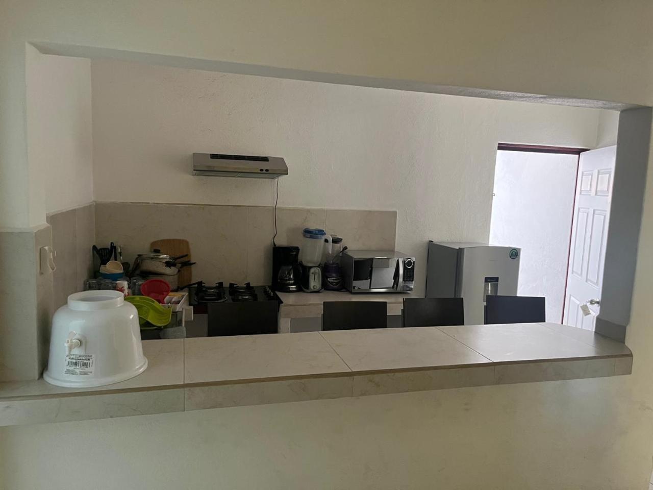 Hotel Albatros Palace 6/24