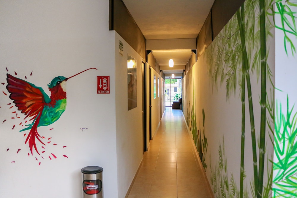 Gayser Hostal 12/25