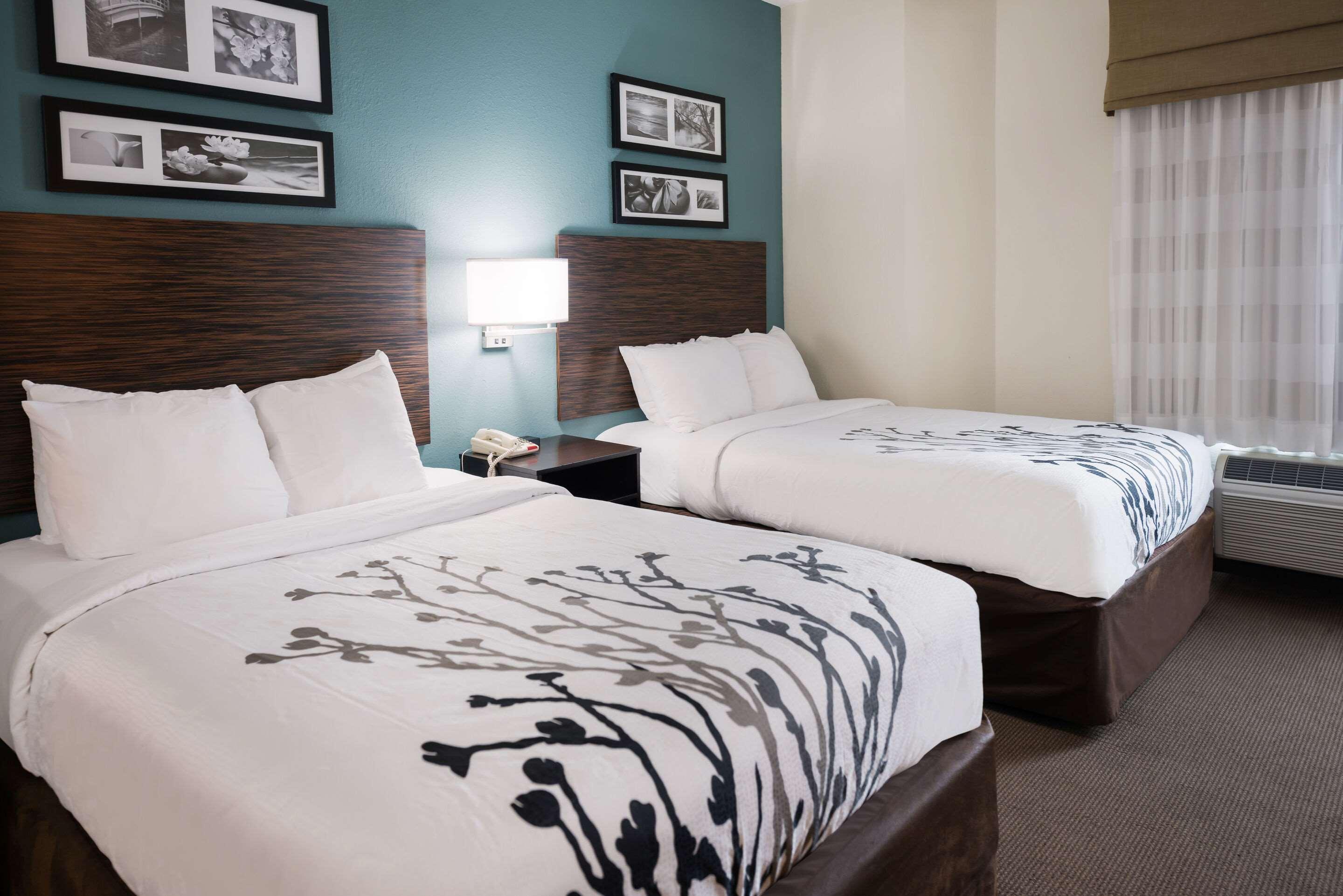 Room, 2 Double Beds, Sofa