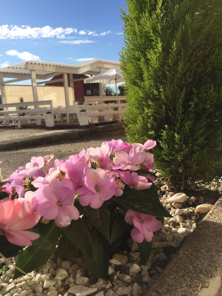 Hotel Rosalia 49/54