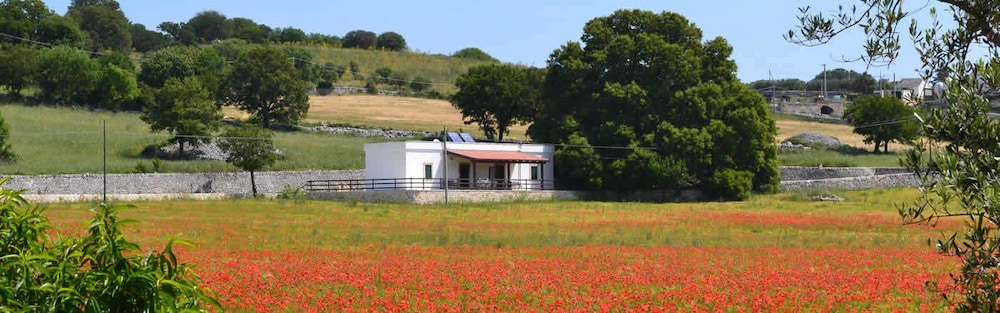 Masseria Torricella 17/34