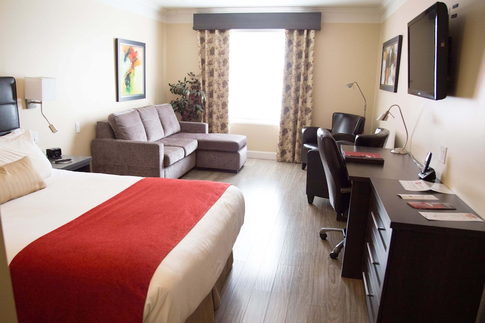Auberge L Ambassadeur 28/58