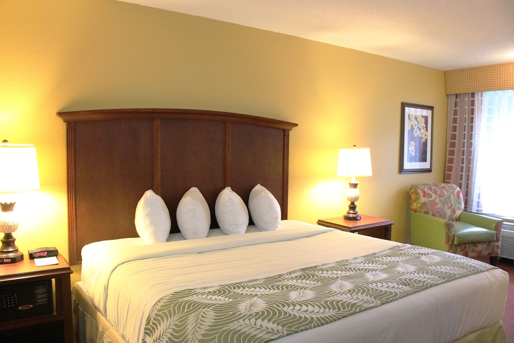 Rosen Inn International 17/67