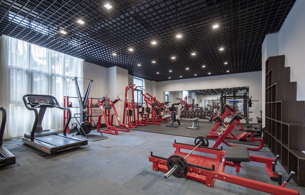 Holiday Inn Express New Jinqiao 23/35
