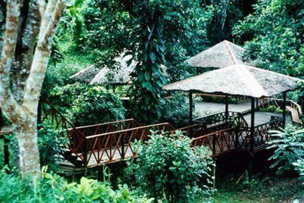 Sepilok Jungle Resort 14/62