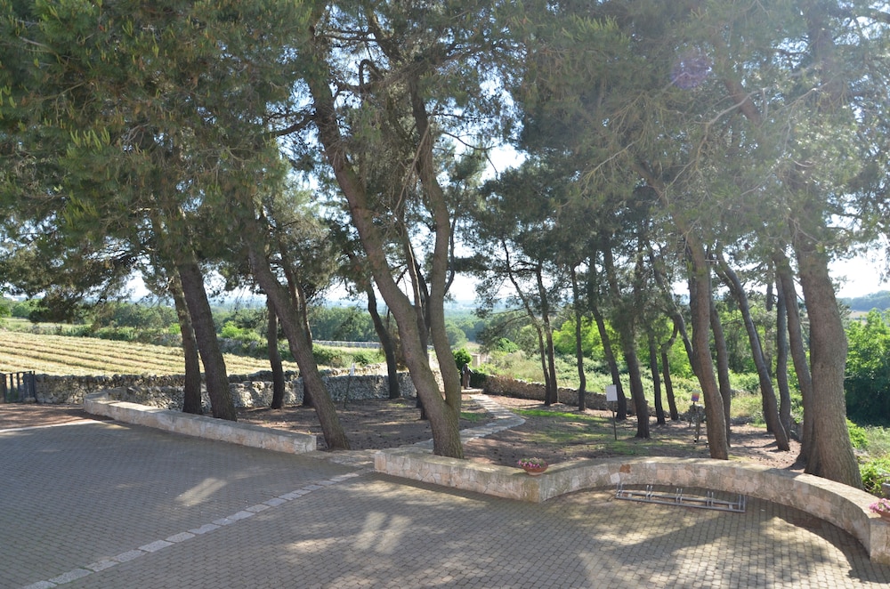 surroundings
