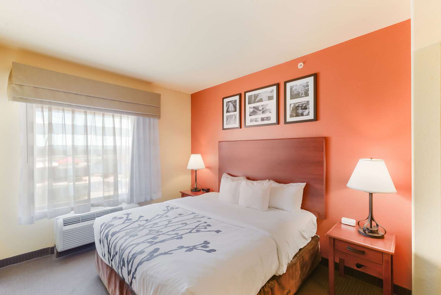 ROOM, QUEEN BED, ACCESSIBLE