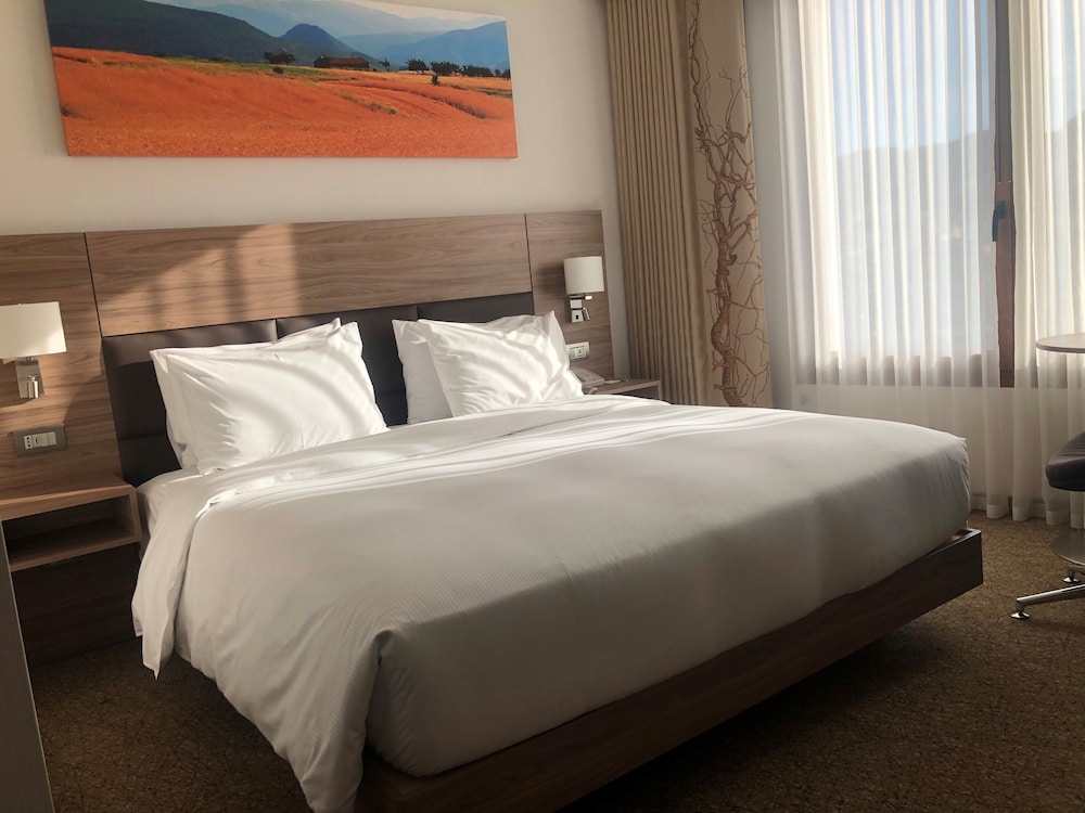 Hilton Garden Inn Tirana 21/81