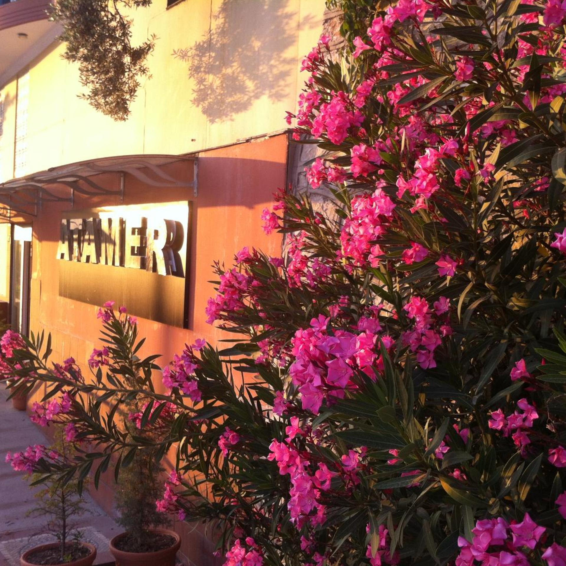 Atamer Hotel & Resort 2/47