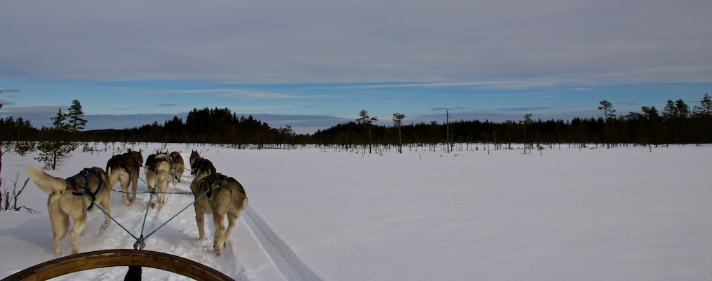 The Lodge - Torsby 27/33