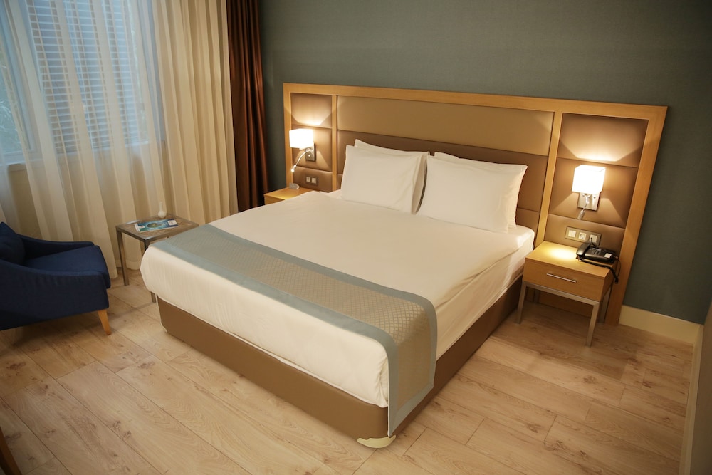 THE ANKARA HOTEL 15/65