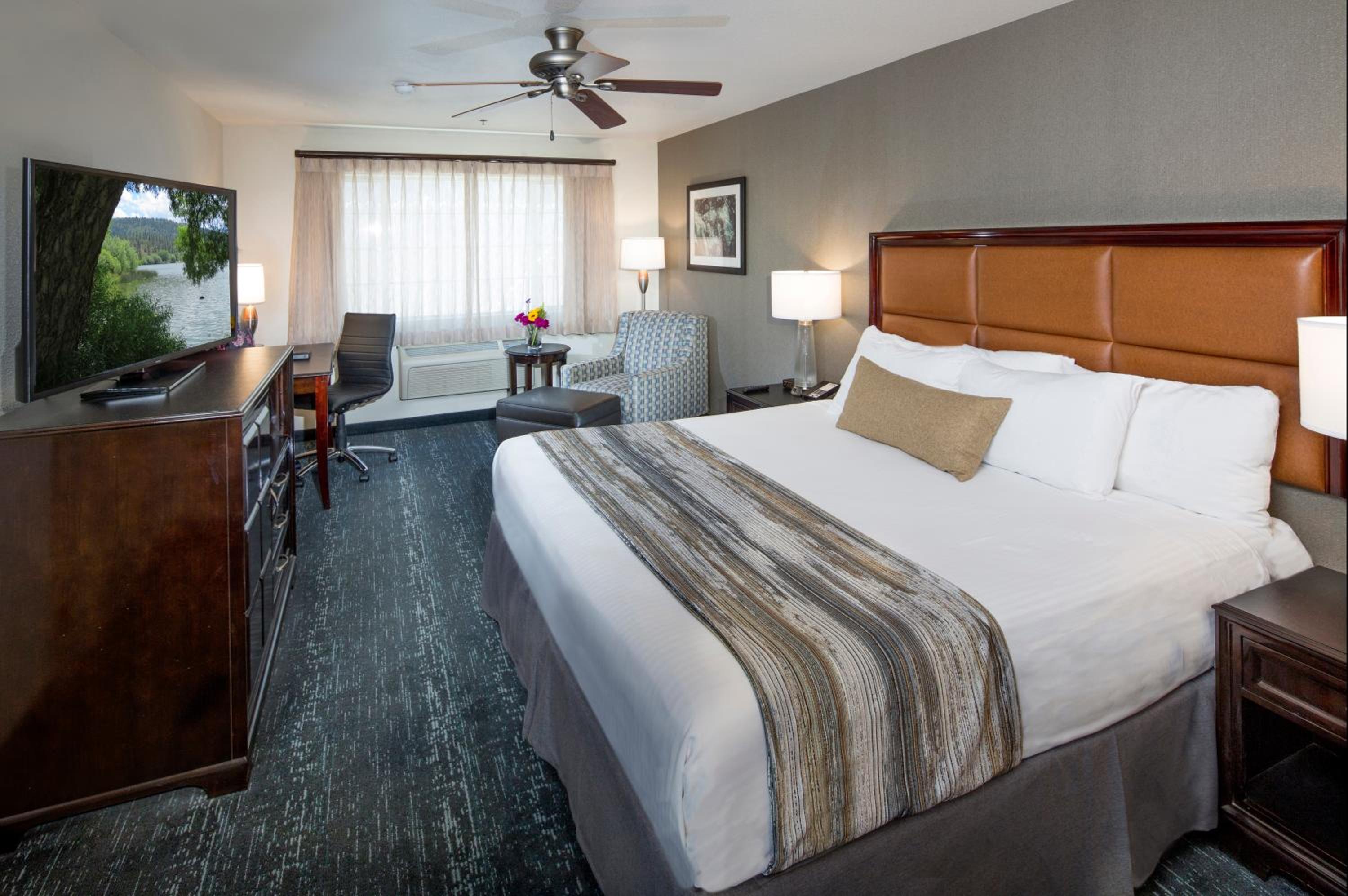 Room, King Bed