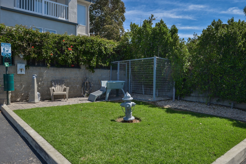 Cayucos Beach Inn 39/64
