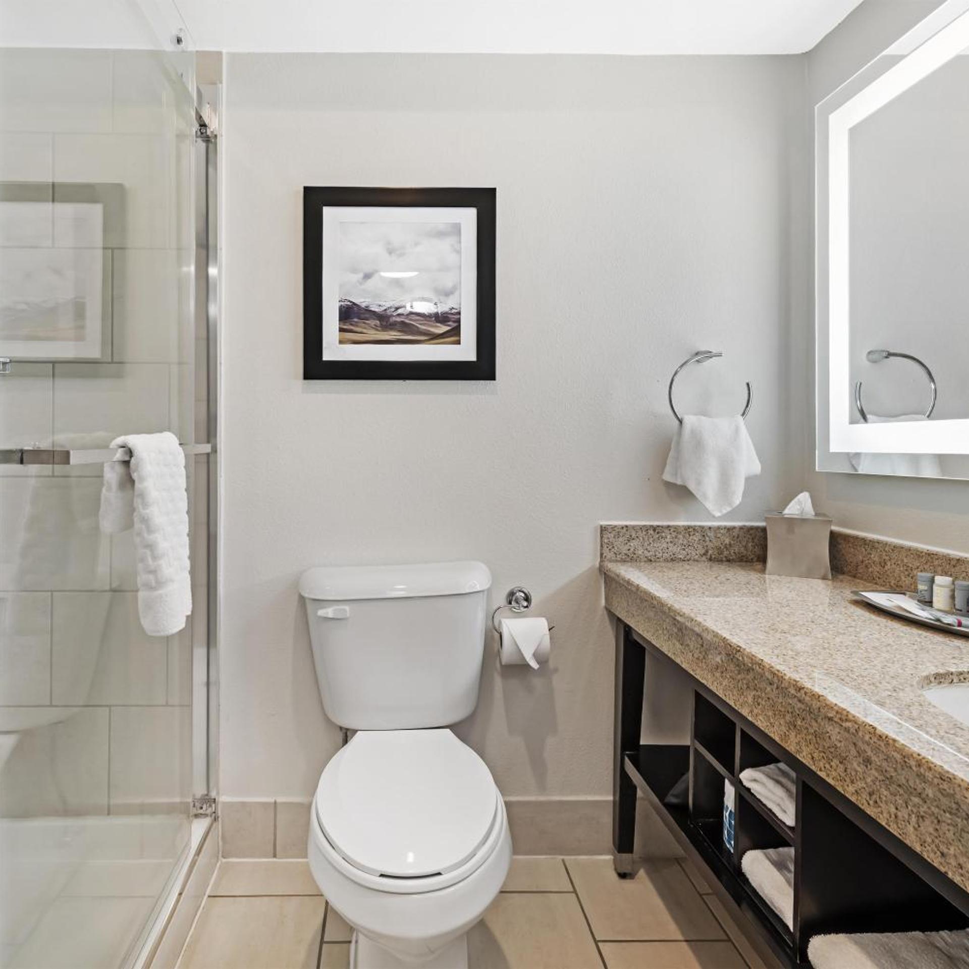 Executive Residency by Best Western Denver East 65/67