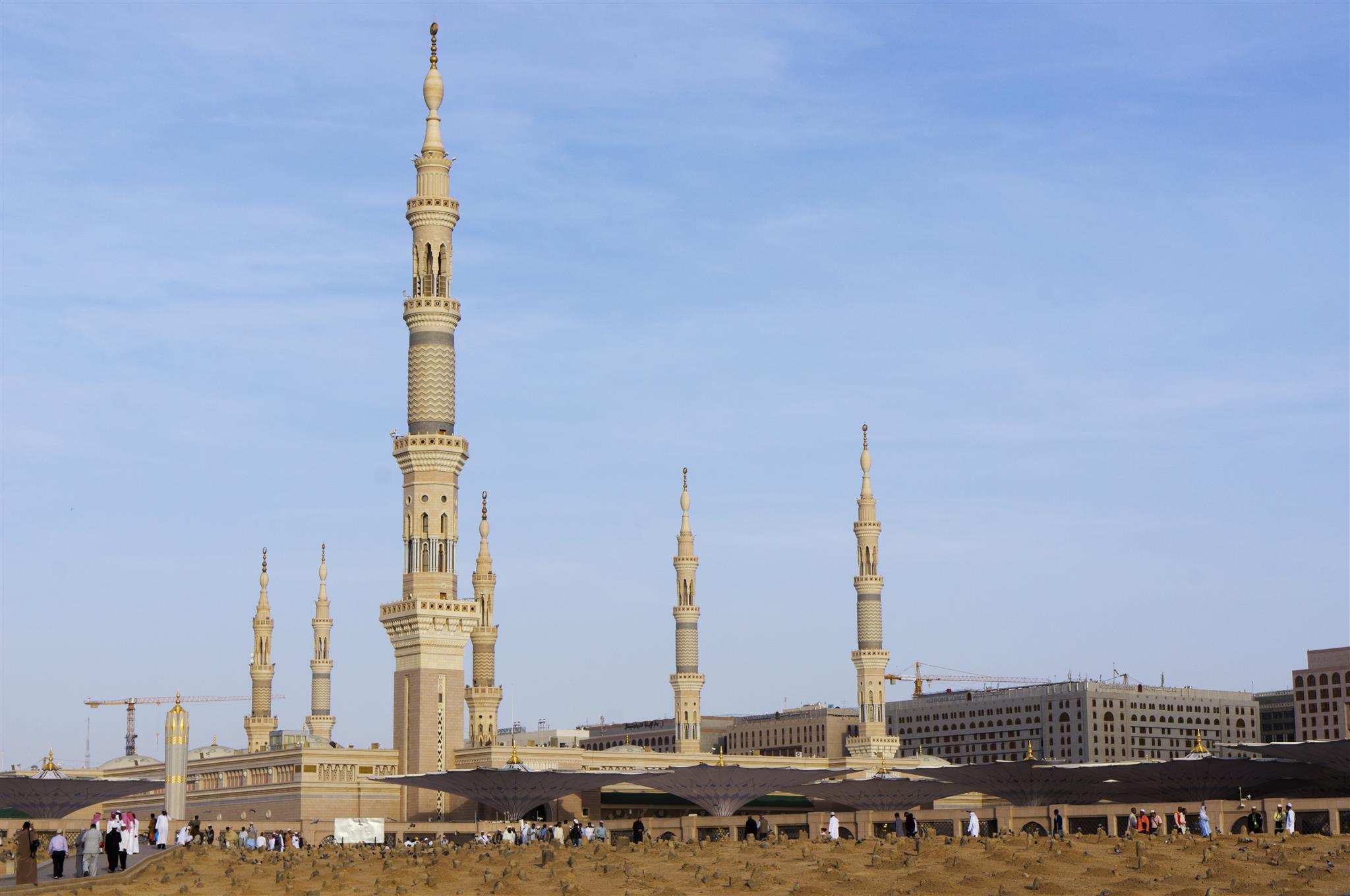 المدينة الذهبي(Al Madinah Golden Hotel) 17/21