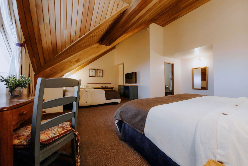 ROOM, MULTIPLE BEDS, BAY VIEW