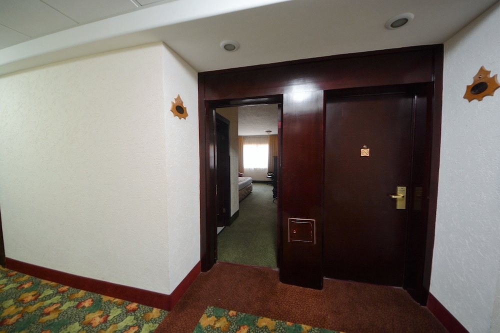 Sicomoro Hotel 12/50