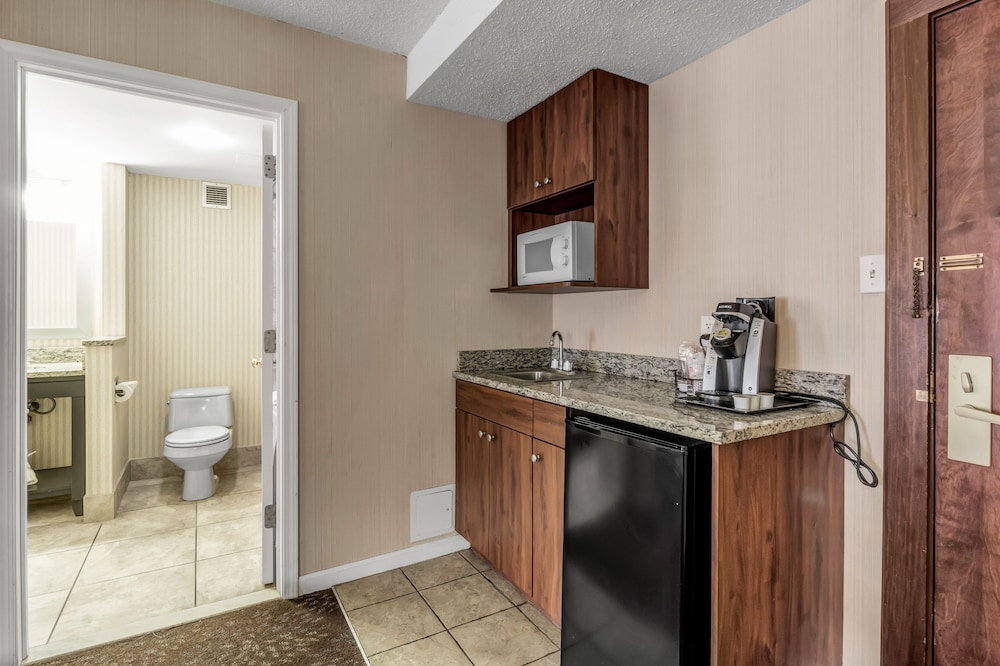 Buffalo Airport Hotel 54/61