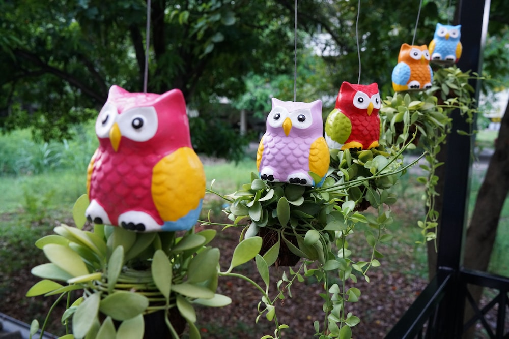 Sleep Owl Hostel 35/37