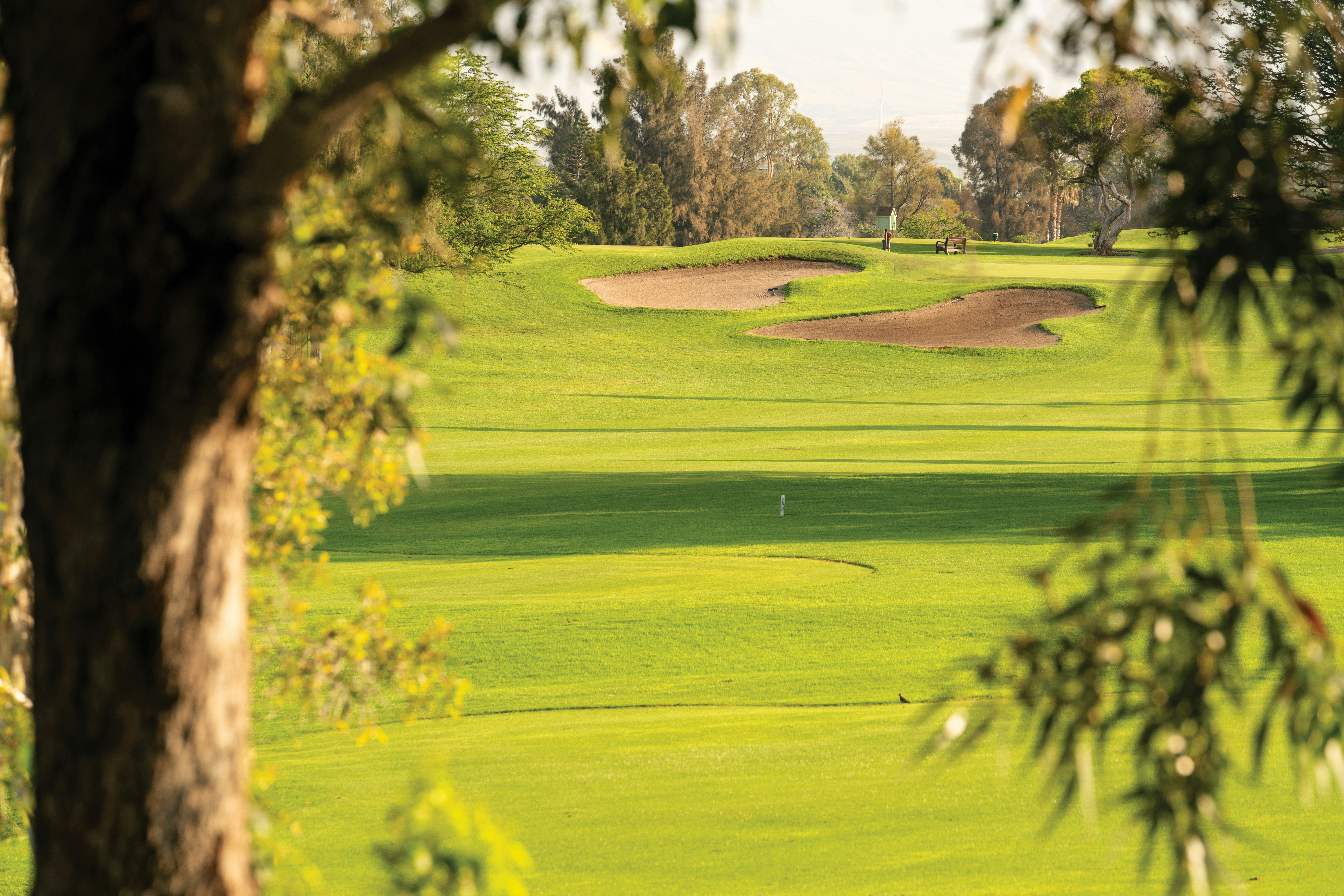 Paniolo Greens at Waikoloa Village 73/79