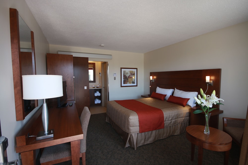 Motel Adam 52/70