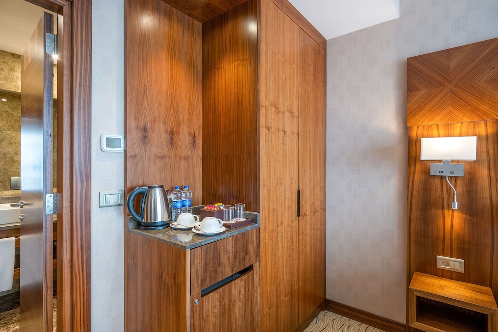 Clarion Hotel Istanbul Mahmutbey 25/60