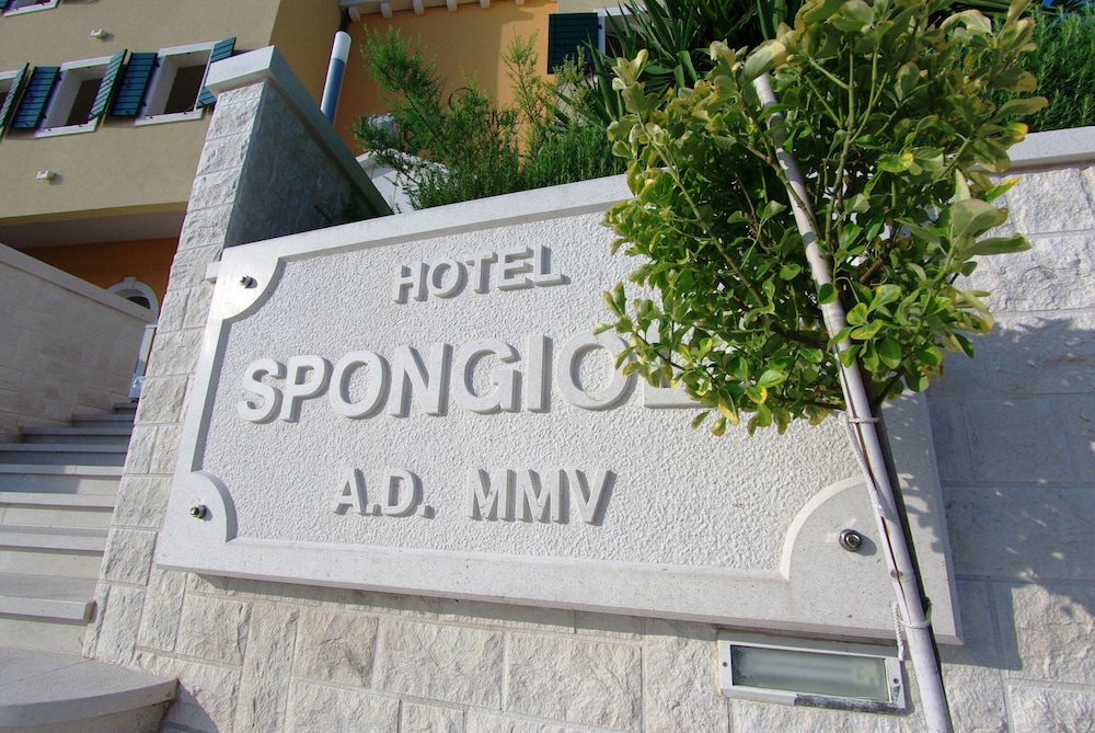 SPONGIOLA photo4