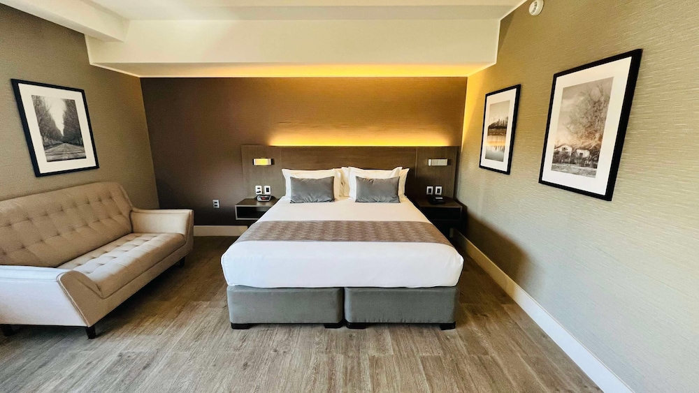 جناح استوديو بسرير كينج، Radisson Hotel Curico 3/8