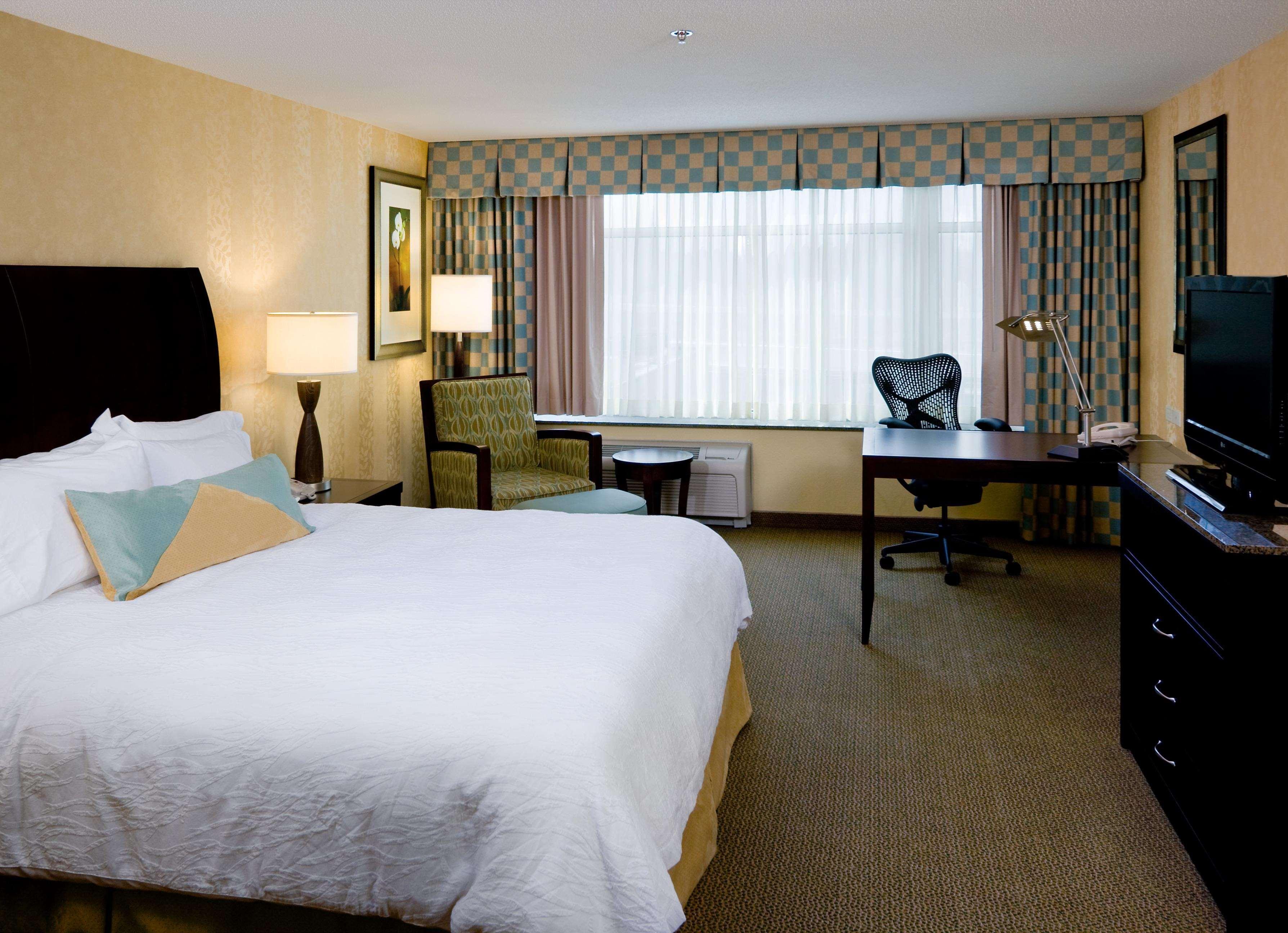 Suite, King Bed