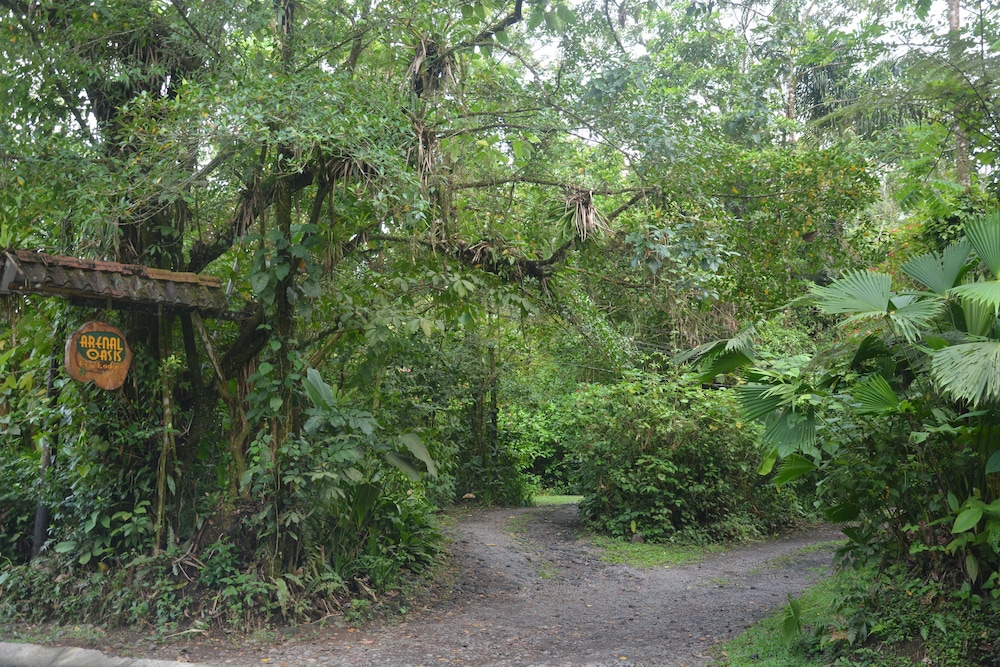 Arenal Oasis 40/50