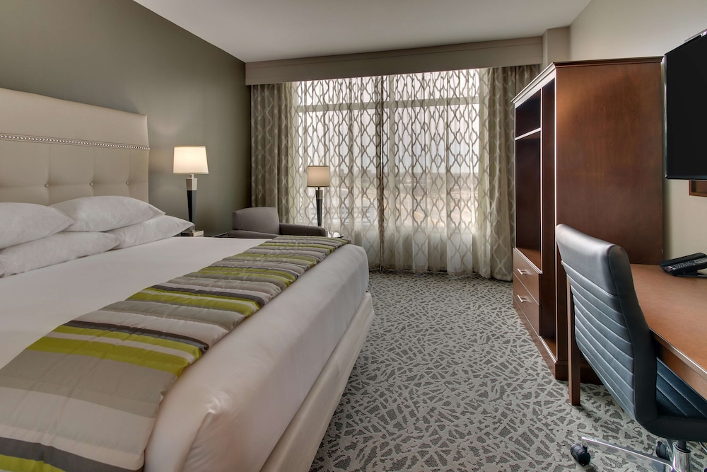 Drury Plaza Hotel Dallas Richardson 13/50