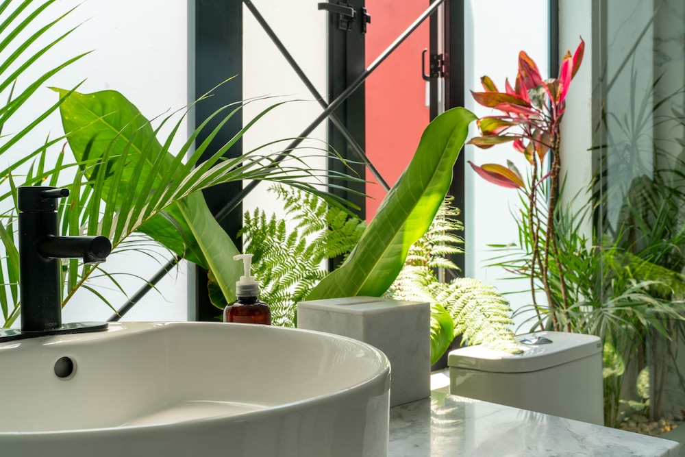 Orchid House 15/82